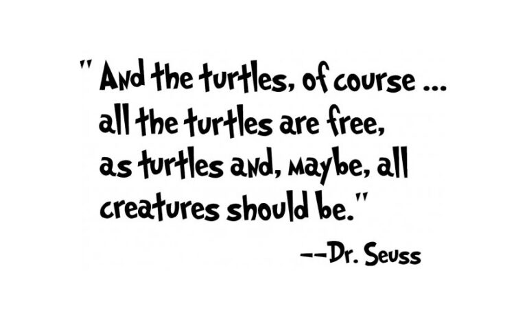 Turtle Forth