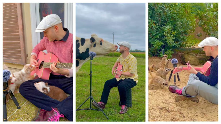 Music of the Week: May 2, 2025: Plumes – Singing for Animals