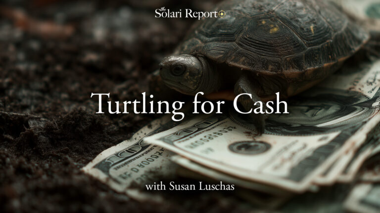 Turtling for Cash with Susan Luschas