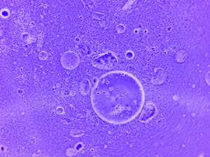 Blue abstract image of water droplets and particles under a microscope.