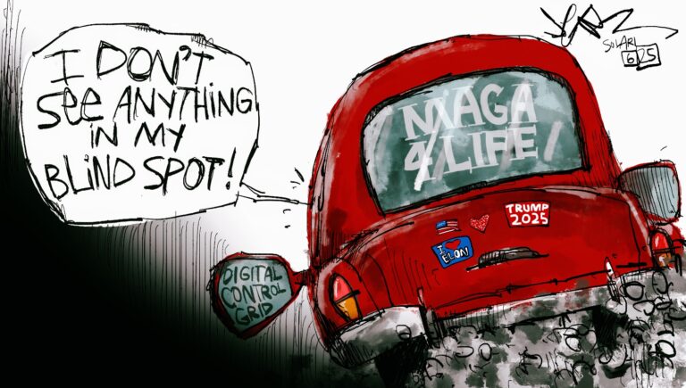 Toon of the Week: Blind Spot