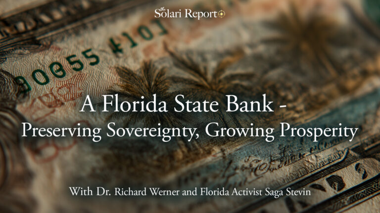 A Florida State Bank: Preserving Sovereignty, Growing Prosperity with Dr. Richard A. Werner and Saga Stevin