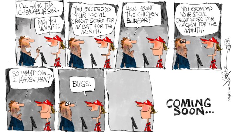 Social Credit System