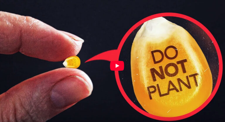 Movie of the Week: September 20, 2025: Exposing Why Farmers Can’t Legally Replant Their Own Seeds