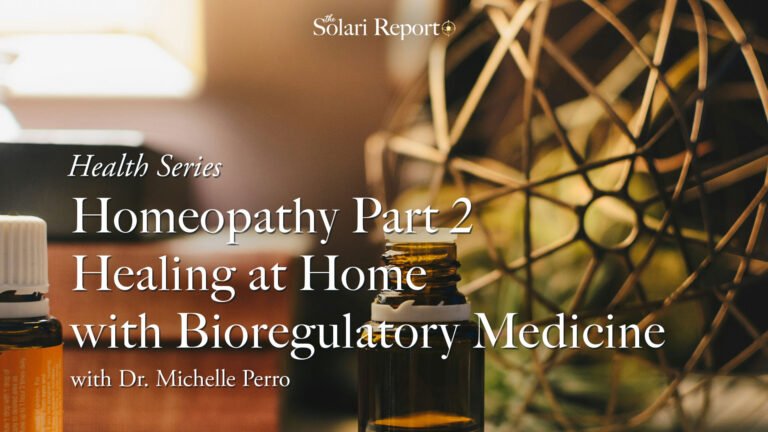 Health Series: Homeopathy Part 2: Healing at Home with Bioregulatory Medicine with Dr. Michelle Perro