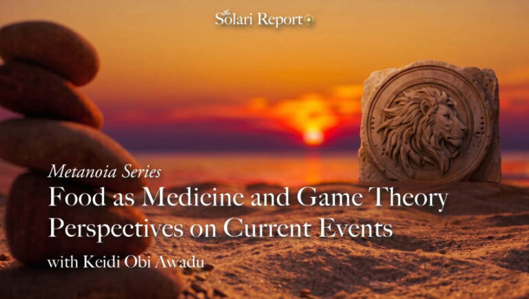 Metanoia Series: Food as Medicine and Game Theory Perspectives on Current Events with Keidi Obi Awadu